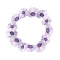 Watercolor cicle round frame of purple violet lavender anemone buttercup flowers. Spring floral soft neutral nature
