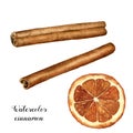 Watercolor cinnamon with orange slice set. Hand painted spice with citrus isolated on white background. Christmas Royalty Free Stock Photo