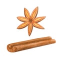 Watercolor cinnamon stick and anise star. Hand painted brown cinamon bark strip with badian spice seed isolated on white