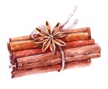 Watercolor cinnamon sticks spice illustration isolated