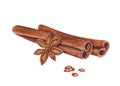 Watercolor cinnamon sticks, star anise on white. Cannella, badian. Aromatic brown spices. Christmas and New Year hand drawn Royalty Free Stock Photo