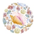 Watercolor circle marine life for decoration design of sea shells. Illustration for greeting cards, invitations, and other