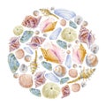 Watercolor circle marine life for decoration design of sea shells. Illustration for greeting cards, invitations, and other