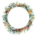 Watercolor circle template with winter plants and berries. Hand painted fir and eucalyptus leaves and branches Royalty Free Stock Photo