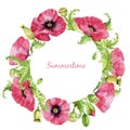 Watercolor circular  floral frame. Delicate poppy flowers. Royalty Free Stock Photo