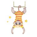 Watercolor circus animal monkey hanging on swing isolated on white background Royalty Free Stock Photo