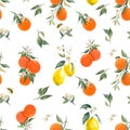 Watercolor citrus pattern