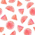Watercolor citrus pattern grapefruit, floral seamless pattern, botanical natural illustration on white background. Hand drawn
