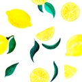 Watercolor citrus pattern lemon, seamless pattern with branch, botanical natural illustration on white background. Hand Royalty Free Stock Photo