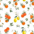 Watercolor citrus vector pattern