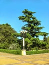 Watercolor city landscape. Urban park, paved paths with tiles. Street lamp on the background of a fir tree. Travel and vacation