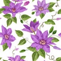 Watercolor Clematis Flowers. Floral Tropical Seamless Pattern for Wallpaper, Print, Fabric, Textile. Summer Background