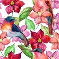 Watercolor clematis seamless pattern.