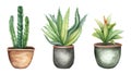 Watercolor clip art set of three potted plants - cactus, succulent, and snake plant - isolated on white background for urban Royalty Free Stock Photo