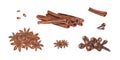 Watercolor clip art of star anise, dried cloves, cinnamons sticks isolated on white background. Botanical illustration for