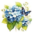 watercolor clipart blue hydrangea flowers and butterfly on white background