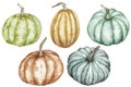 Watercolor clipart of colorful pumpkins - green, red, orange, blue. Thanksgiving collection of pumpkin harvest. Royalty Free Stock Photo