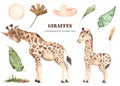 Watercolor clipart with cute giraffes mom and baby, palm leaves, cloud, savanna grass Royalty Free Stock Photo