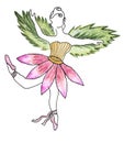 Watercolor clipart of fairy-ballerina in flower dress isolated on white background. Dancing faceless girl in pointe shoes, pink Royalty Free Stock Photo