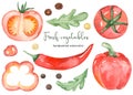 Watercolor clipart with red vegetables and arugula