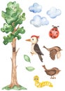 Watercolor clipart with a tall tree, woodpecker, sparrow, clouds, ladybug, caterpillar, leaves to create a children`s stadiometer Royalty Free Stock Photo