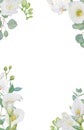 Watercolor clipart of white calla lily, orchid, freesia flowers and eucalipt. Hand drawn floral illustration for wedding