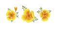 Watercolor clipart, yellow banner, summer flowers on a white background.