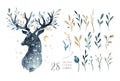 Watercolor closeup portrait of cute deer. Isolated on white background. Hand drawn christmas illustration. Greeting card