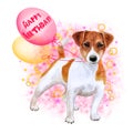 Watercolor closeup portrait of cute Jack russel terrier breed puppy isolated on abstract background. Puppy holding balloons. Hand Royalty Free Stock Photo