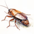 Watercolor Cockroach Illustration With Detailed Character Style