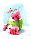 Watercolor Cocktail Drink in Coconut Shell Hand Painted Beach Tropical Caribbean Vacation Summer Illustration