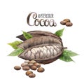 Watercolor cocoa fruit