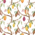 Watercolor cocoa vector pattern