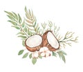 Watercolor Coconut Clipart, Greenery Bouquet, Cotton Floral illustration, Tropical arrangements, Wedding Invites, Logo design