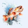 Watercolor Cod Clipart With White Background Royalty Free Stock Photo