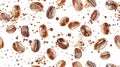 Watercolor coffee bean pattern on white background for modern kitchen decor. Abstract background Royalty Free Stock Photo