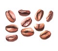 Watercolor coffee beans isolated Royalty Free Stock Photo