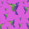 Watercolor colibri on pink background. Seamless pattern. Green and violel hummingbird. Exotic summer pattern. Tropical design.