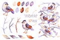 Watercolor collection with birds