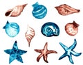 Watercolor collection of blue and brown seashells and starfish