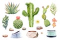 Watercolor collection cactus cacti and succulents in pots. Elements layer path Royalty Free Stock Photo