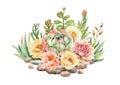 Watercolor collection cactus cacti and succulents in stones. Royalty Free Stock Photo