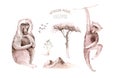 Watercolor collection of monkeys illustration isolated on white background. Wild African baboon monkey animal of Africa.