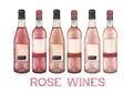 Watercolor collection of different rose wine bottles.