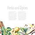 Watercolor collection of fresh herbs and spices .