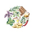 Watercolor collection of fresh herbs and spices .