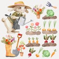 Watercolor collection of garden tools, tools, accessories, plants, and vegetables. Cute Rabbit gardener in a hat.