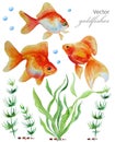 Watercolor collection of hand drawn goldfishes Royalty Free Stock Photo