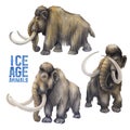 Watercolor collection of mammoths isolated on white background. Royalty Free Stock Photo