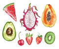 Watercolor collection of painted summer fruits- dragon fruit, papaya, avocado, watermelon slice, strawberry, kiwi fruit, cherry,